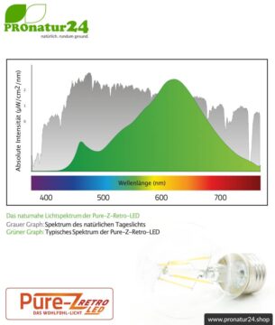 4,2 Watt LED Filament Pure-Z-Retro BIO LICHT | hell wie 40 Watt, 420 Lumen | Warmweiß (2700 Kelvin) | CRI >90, flimmerfrei (< 1%), E27