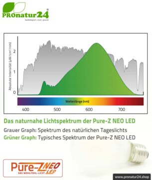 4,2 Watt LED Filament Pure-Z NEO von BioLicht | Mattglas | CRI 97 | Hell wie 38 Watt, 400 Lumen | warmweiß (2700 K) | flimmerfrei (< 1%), E27 Sockel