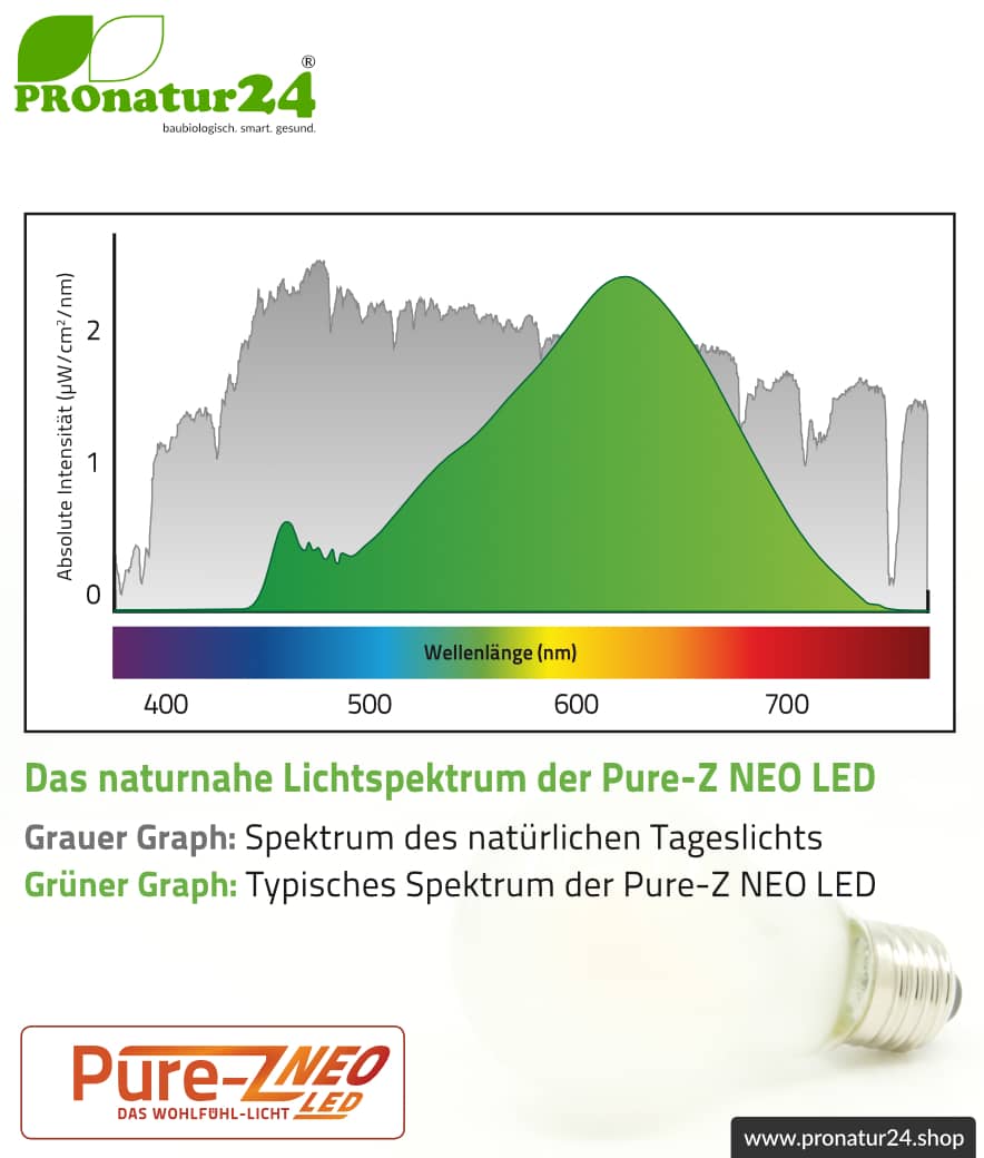 4,2 Watt LED Filament Pure-Z NEO von BioLicht | Mattglas | CRI 97 | Hell wie 38 Watt, 400 Lumen | warmweiß (2700 K) | flimmerfrei (< 1%), E27 Sockel