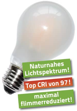 6,4 Watt LED Filament Pure-Z NEO von BioLicht | Mattglas | CRI 97 | Hell wie 55 Watt, 650 Lumen | warmweiß (2700 K) | flimmerfrei (< 1%), E27 Sockel 6,4 Watt LED Filament Pure-Z NEO von BioLicht | Mattglas | CRI 97 | Hell wie 55 Watt, 650 Lumen | warmweiß (2700 K) | flimmerfrei (< 1%), E27 Sockel