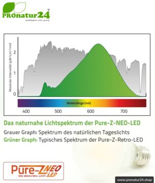 6,4 Watt LED Filament Pure-Z NEO von BioLicht | Mattglas | CRI 97 | Hell wie 55 Watt, 650 Lumen | warmweiß (2700 K) | flimmerfrei (< 1%), E27 Sockel